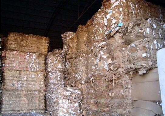 广州废纸回收公司